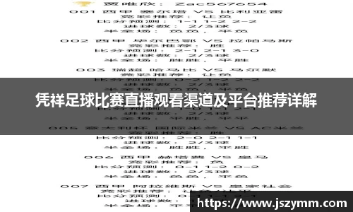 凭祥足球比赛直播观看渠道及平台推荐详解